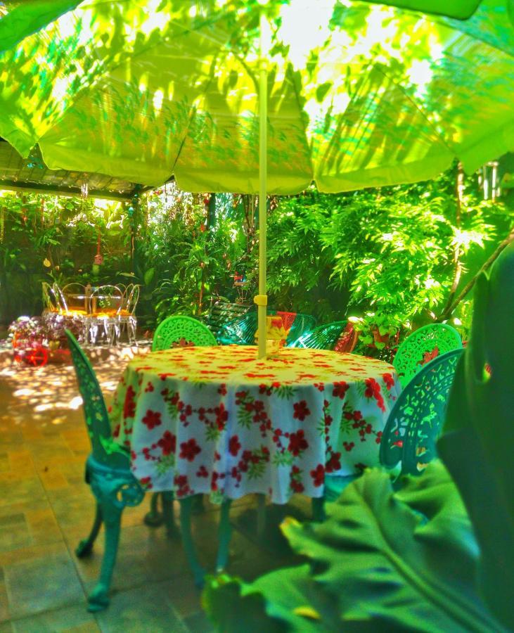 סאן סלבדור Hotel Oasis מראה חיצוני תמונה