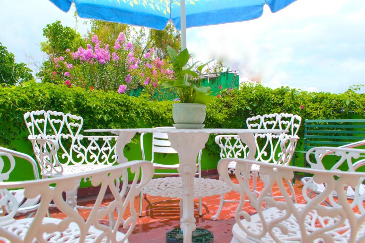 סאן סלבדור Hotel Oasis מראה חיצוני תמונה