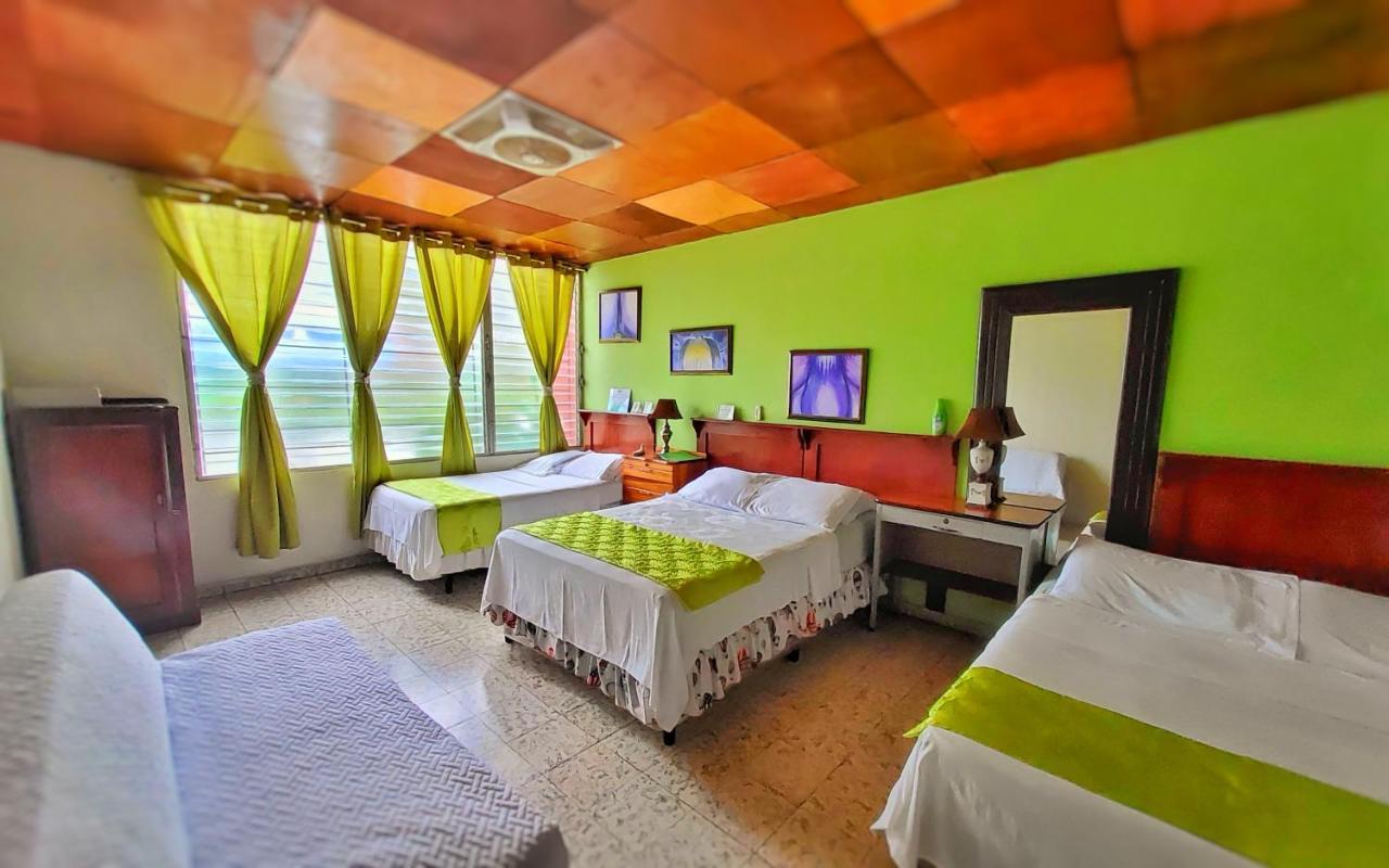 סאן סלבדור Hotel Oasis מראה חיצוני תמונה