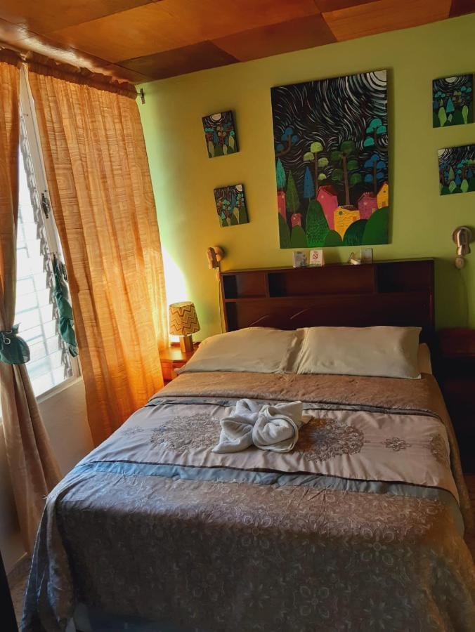 סאן סלבדור Hotel Oasis מראה חיצוני תמונה