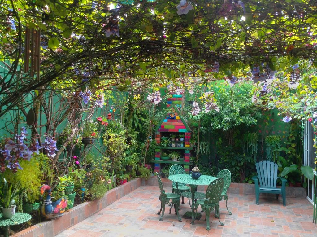 סאן סלבדור Hotel Oasis מראה חיצוני תמונה